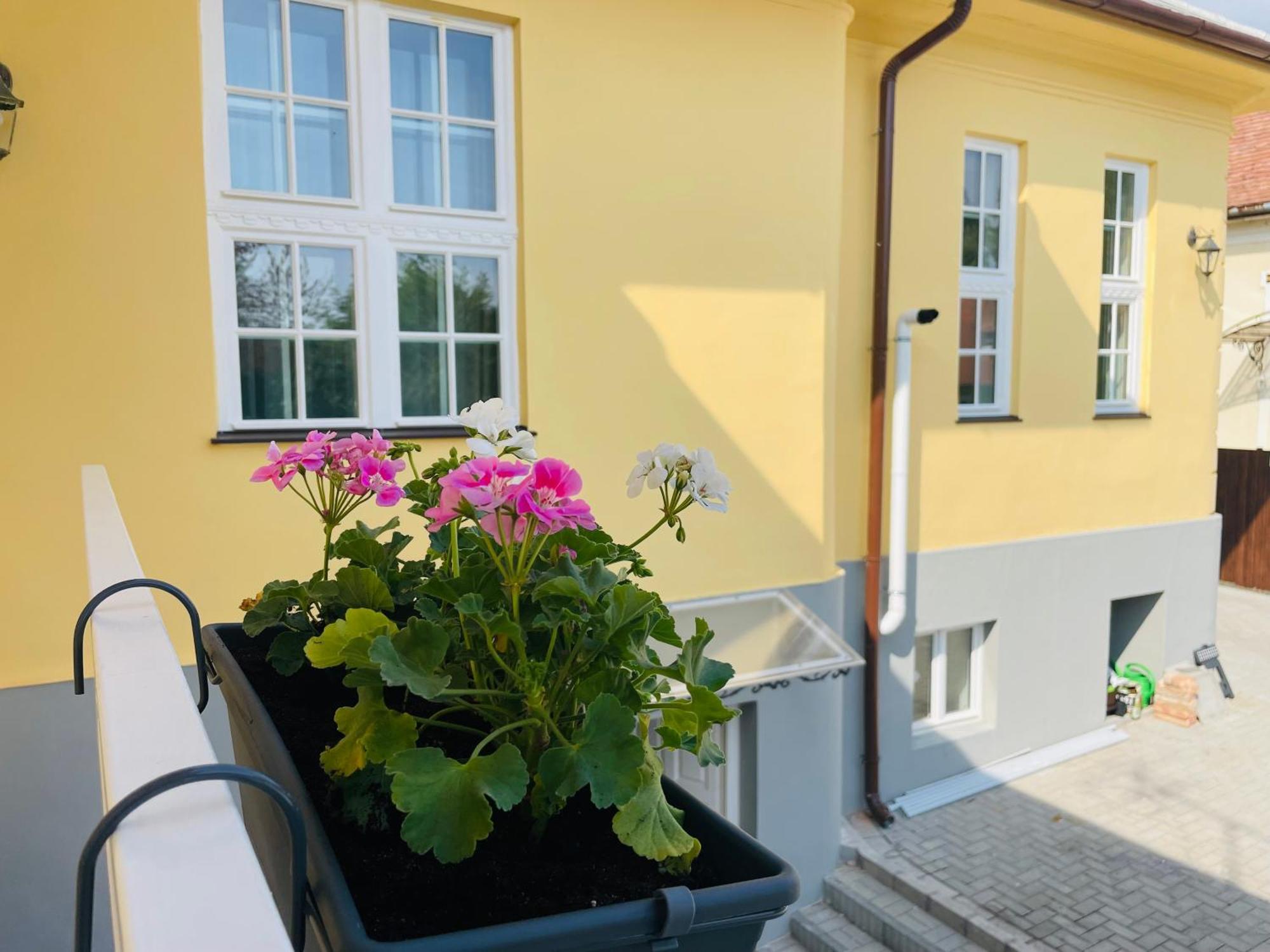 Villabaroque_Eger Ngoại thất bức ảnh